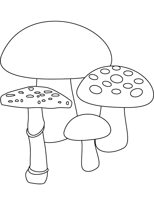 Plansa de colorat cu Toamna 75 154
